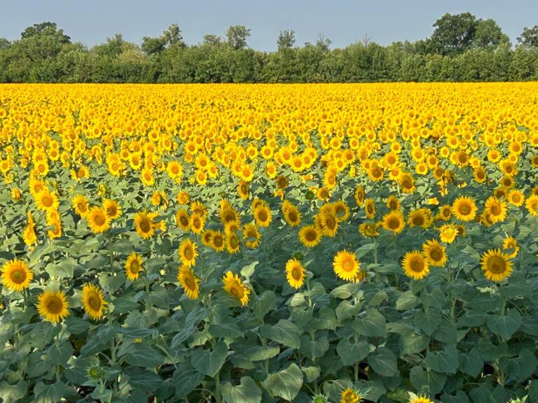 Andy’s 13th run – July 2024